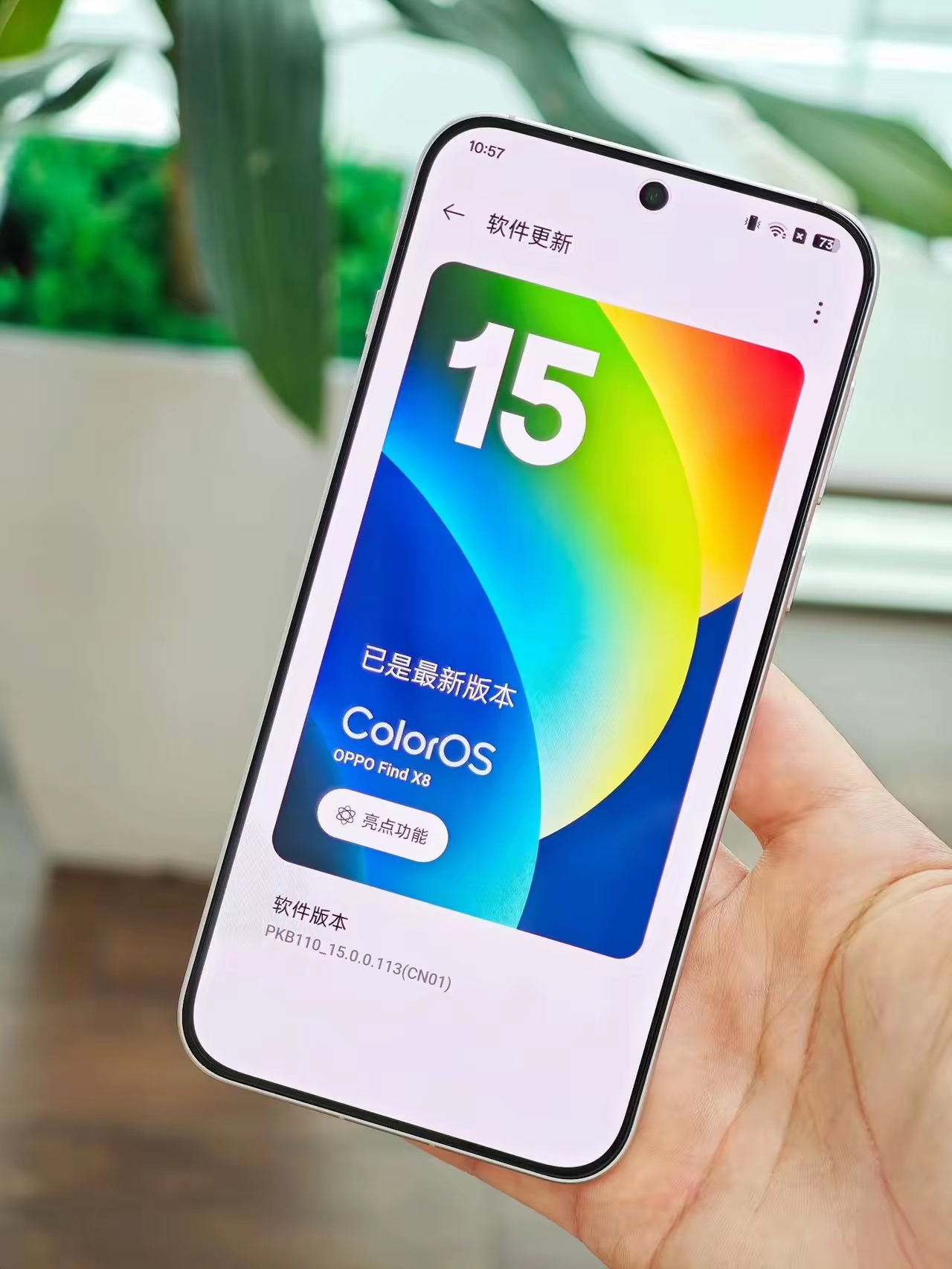 finds和find应用区别 find it和find it's的区别 finds和find应用区别 find it和find it's的区别