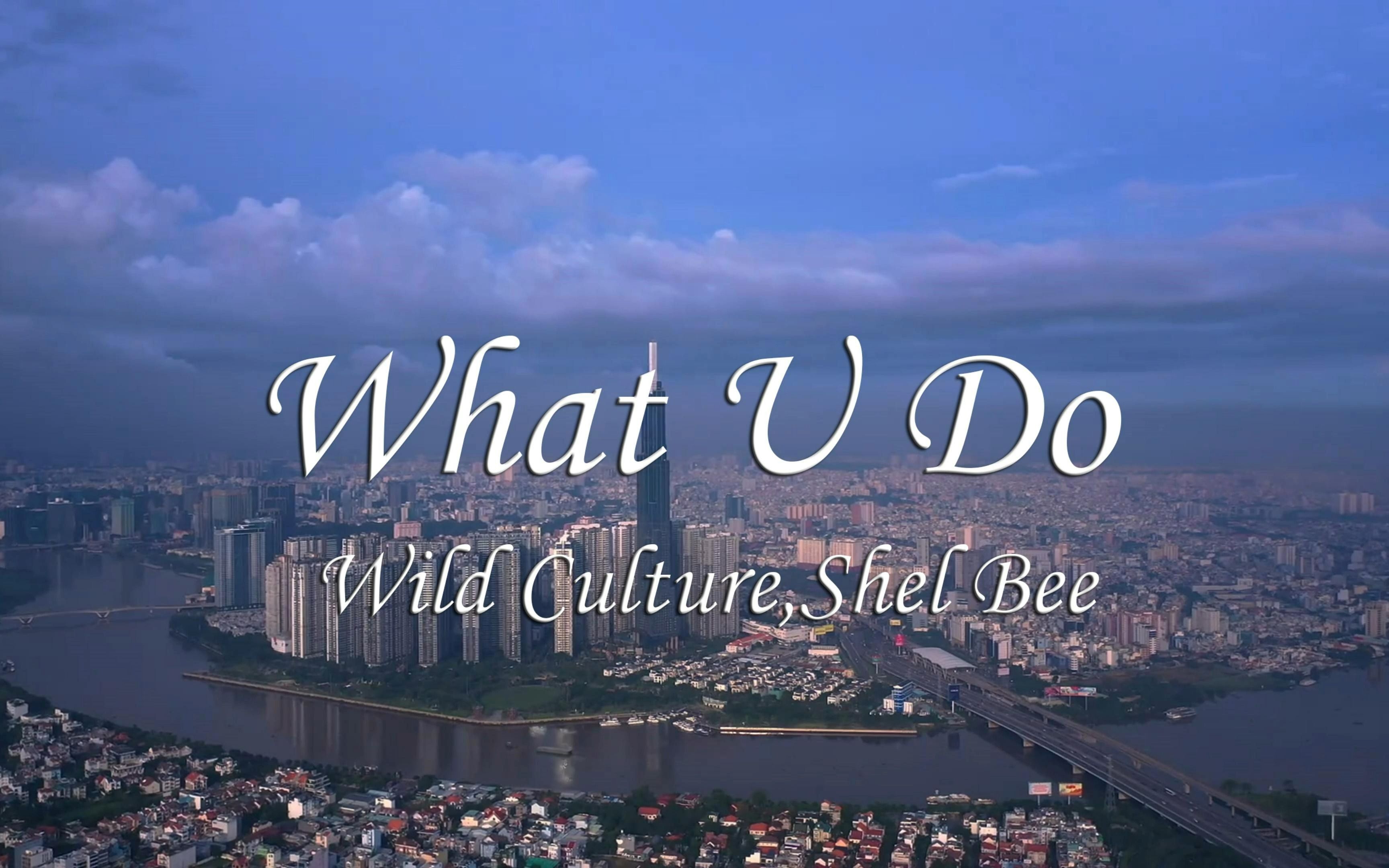 whattodoif有什么区别 what to do with it和how to do的区别 whattodoif有什么区别 what to do with it和how to do的区别