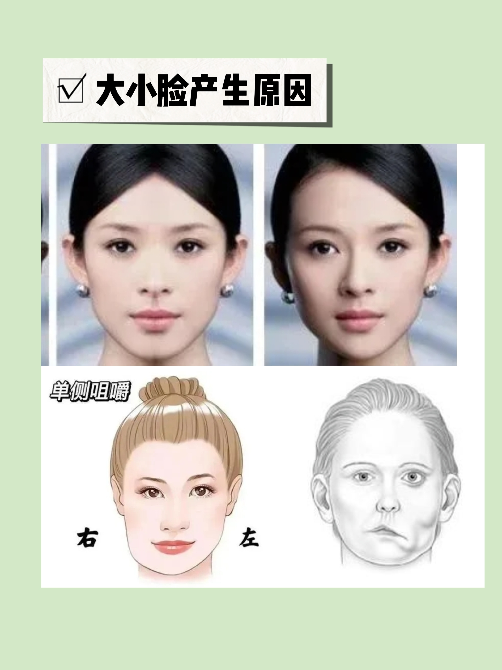 各国人脸区别 不同国家人种面部特征 各国人脸区别 不同国家人种面部特征