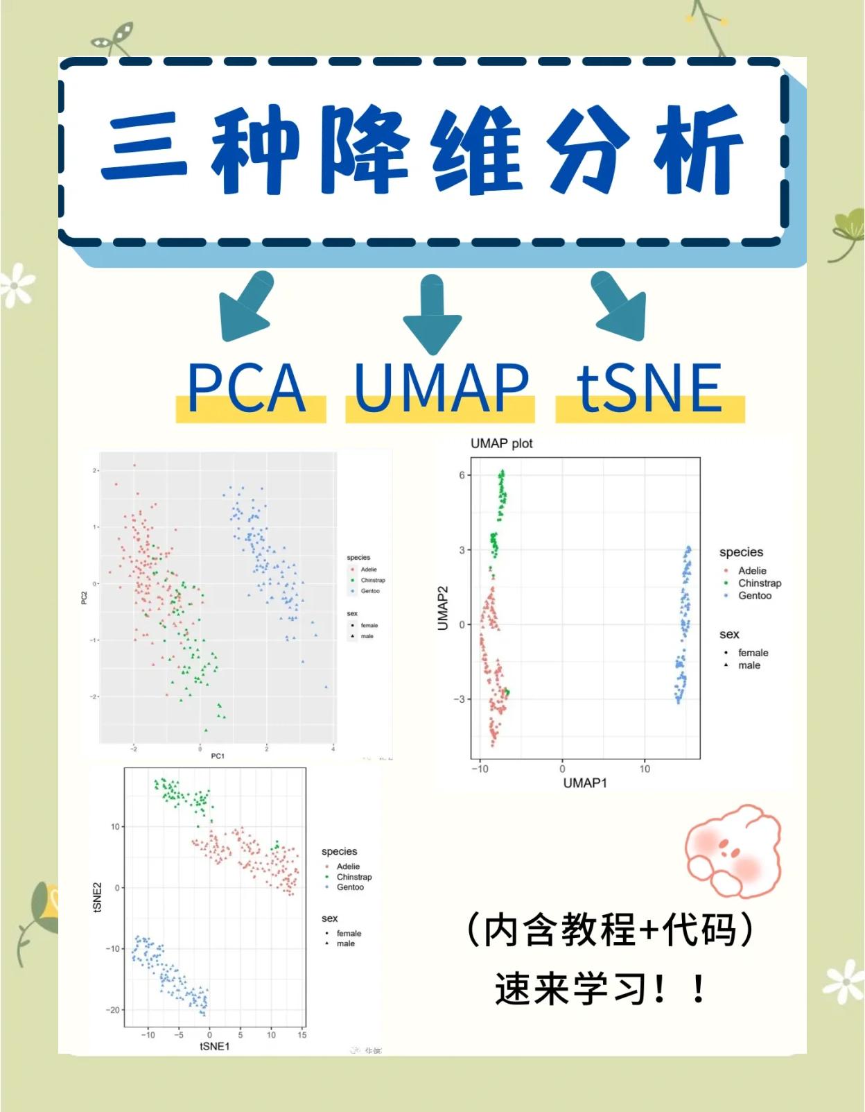 PCA和EOF区别 pcoa和pca有什么区别 PCA和EOF区别 pcoa和pca有什么区别