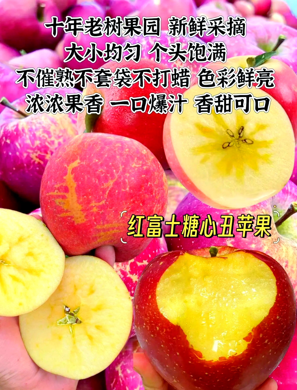 丑苹果和普通苹果区别 丑苹果和普通苹果哪个好 丑苹果和普通苹果区别 丑苹果和普通苹果哪个好