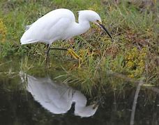 pptpotx区别 ppt,pptx有何区别? 