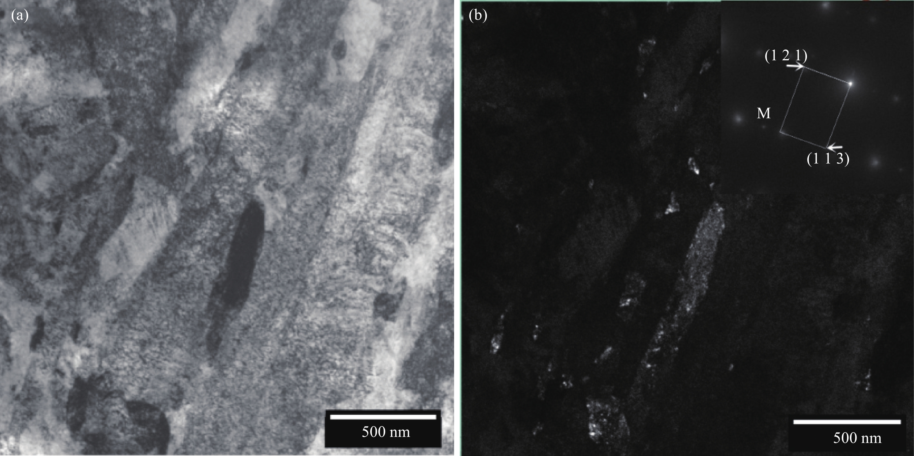 sector和field的区别 field和stadium的区别 