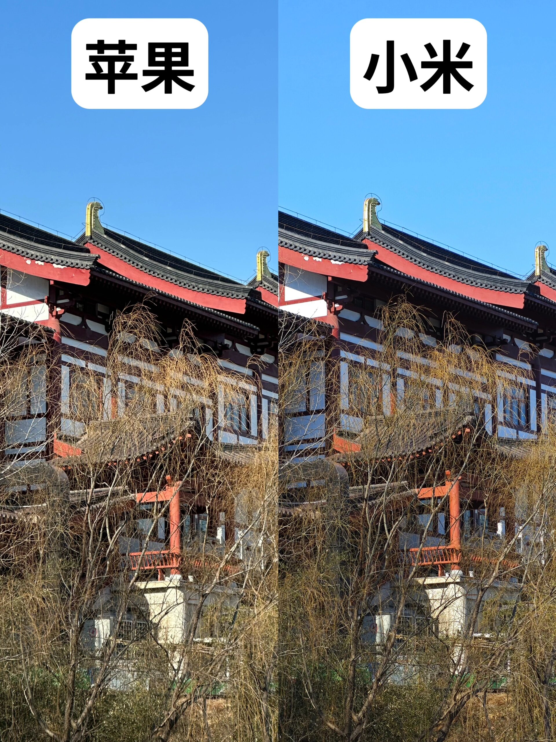 小米相机滤镜区别 小米的滤镜在哪设置 