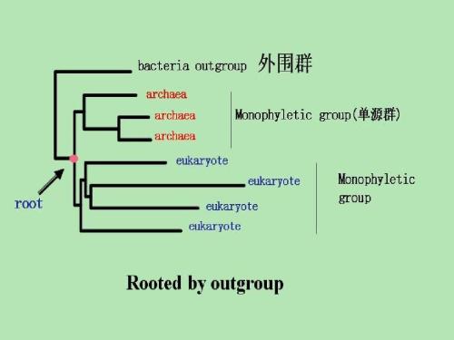 和href的区别 thhref和href 和href的区别 thhref和href