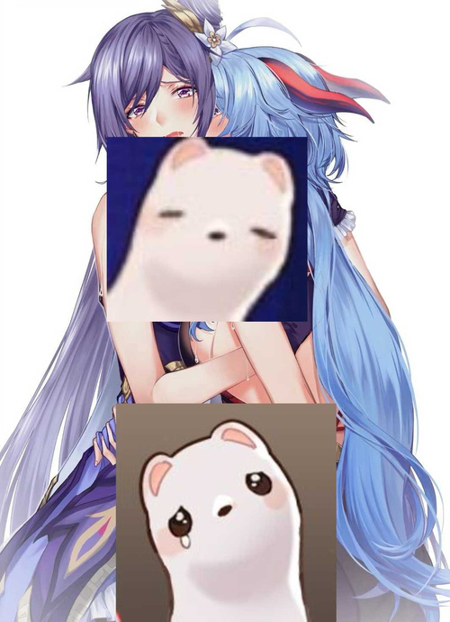 微博原图区别 微博的图是原图吗 微博原图区别 微博的图是原图吗