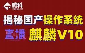 白麒麟vm区别 白麒麟值得持有吗 