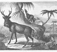 win和beast区别 win与beat的详细区别及例子 win和beast区别 win与beat的详细区别及例子