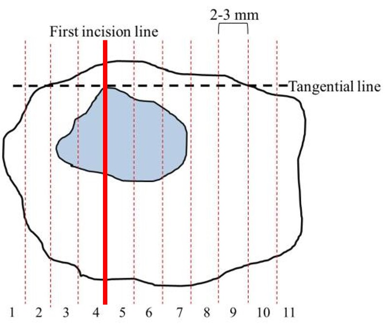 gho与esd的区别 esd文件和gho文件一样吗 gho与esd的区别 esd文件和gho文件一样吗