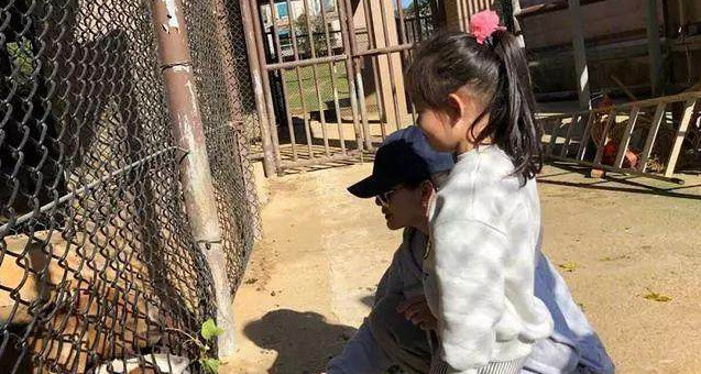 父区别 伯父叔父区别 父区别 伯父叔父区别