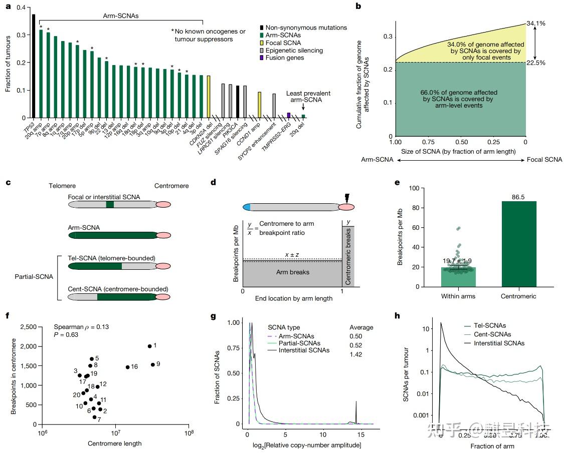 tumour与cancer的区别 turmoil和commotion tumour与cancer的区别 turmoil和commotion