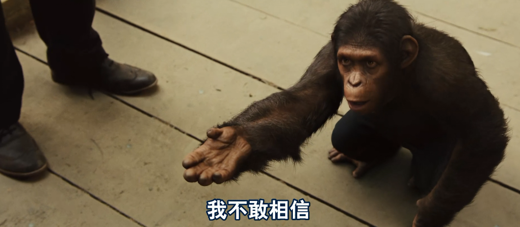 昨天曾凡博这个球让我想起了还皮蓬,还有人记得这个球吗?的简单介绍 昨天曾凡博这个球让我想起了还皮蓬,还有人记得这个球吗?的简单介绍