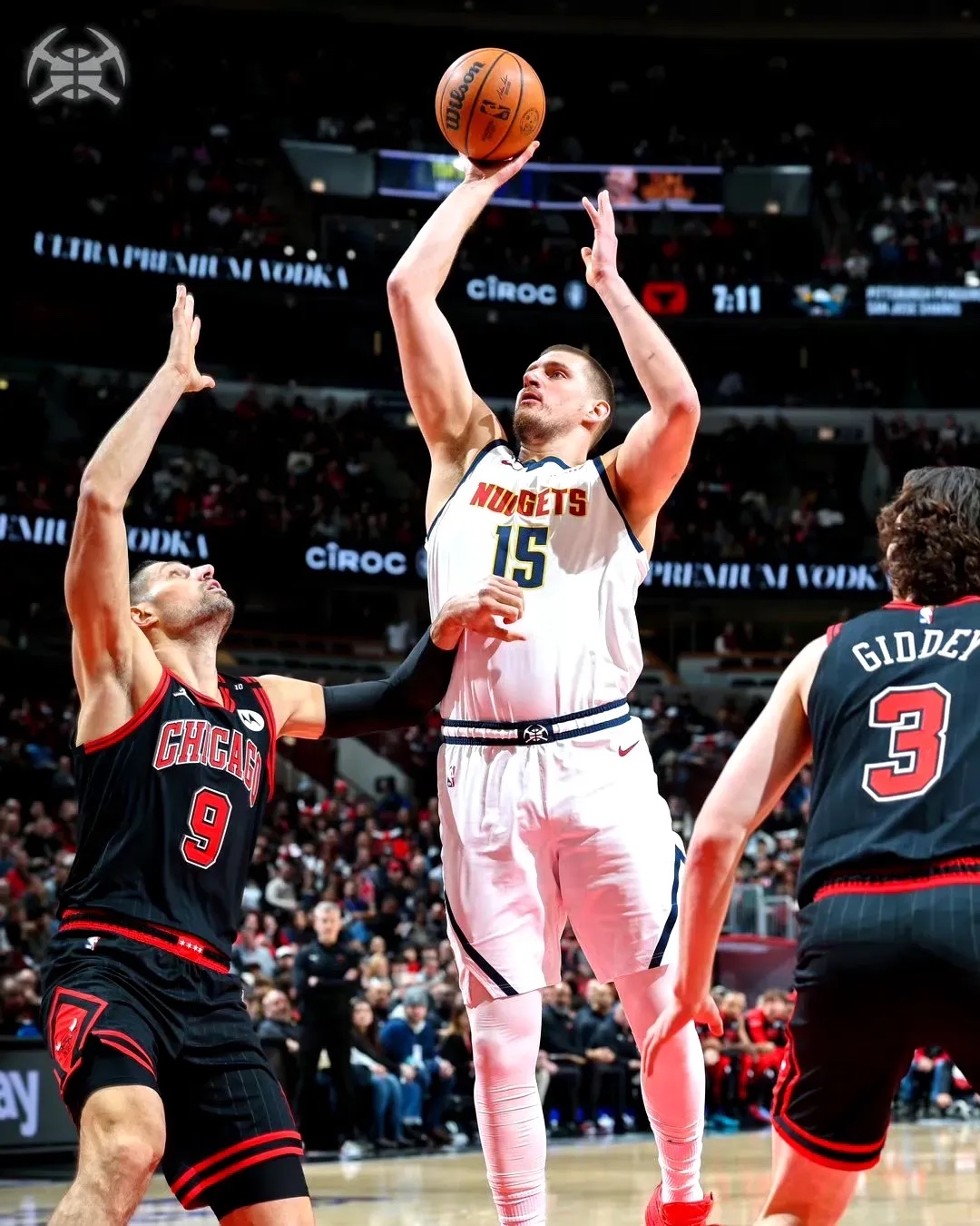 公牛掘金连胜谢幕，希望继续前行的简单介绍