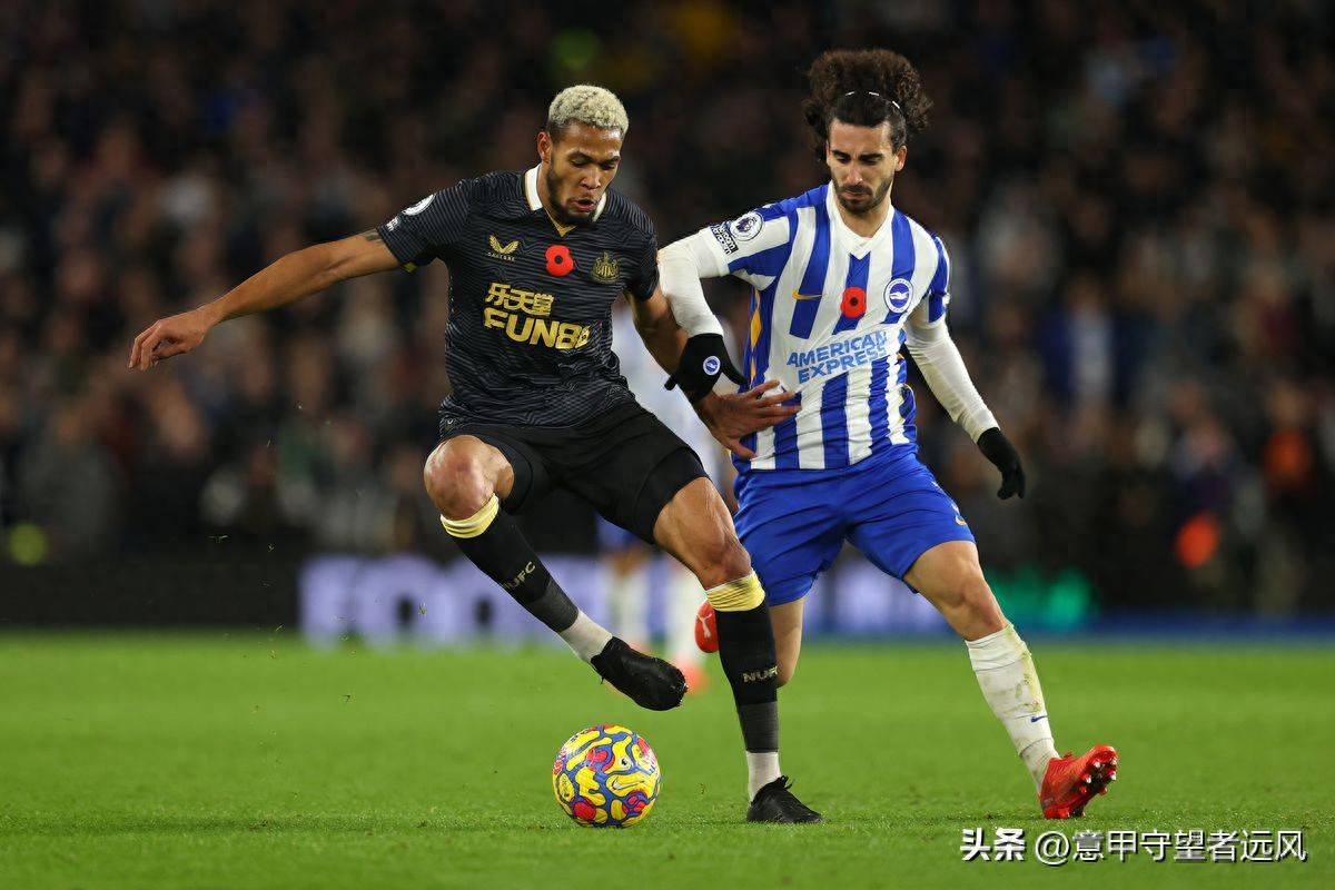 关于布莱顿联阵容反扑,力争取得胜利翻盘反超对手的信息 关于布莱顿联阵容反扑,力争取得胜利翻盘反超对手的信息