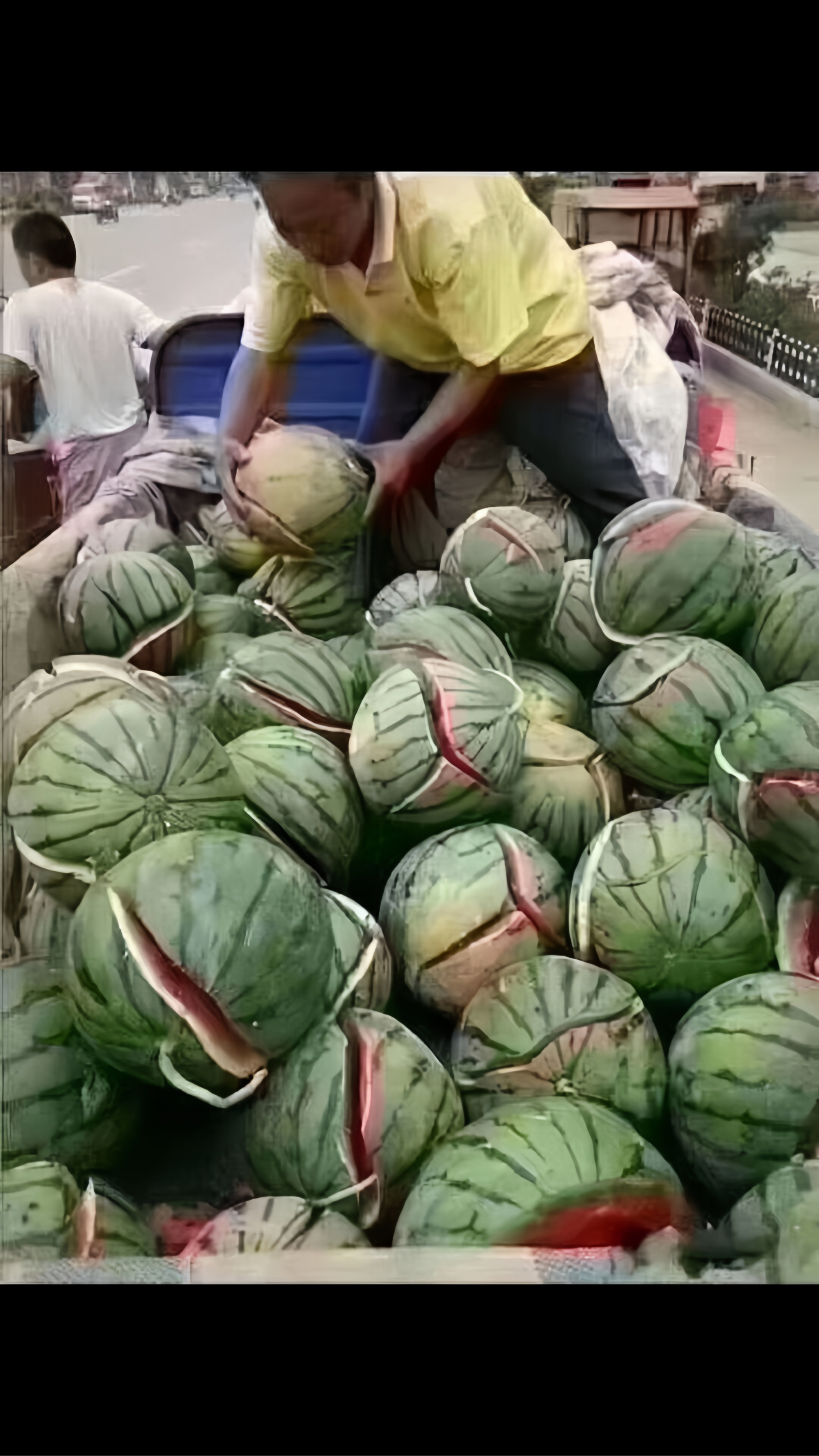 义无反顾,胜利的果实即将成熟的简单介绍 义无反顾,胜利的果实即将成熟的简单介绍