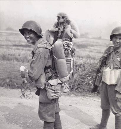 夏莱罗瓦队逼平强敌,展现出强大的战斗力的简单介绍 夏莱罗瓦队逼平强敌,展现出强大的战斗力的简单介绍