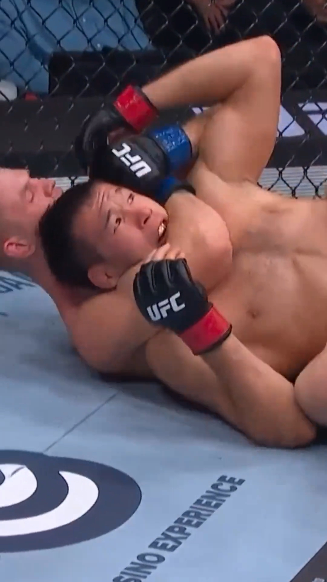 赫雷斯连胜保持不败,展现出色战绩 赫雷斯连胜保持不败,展现出色战绩