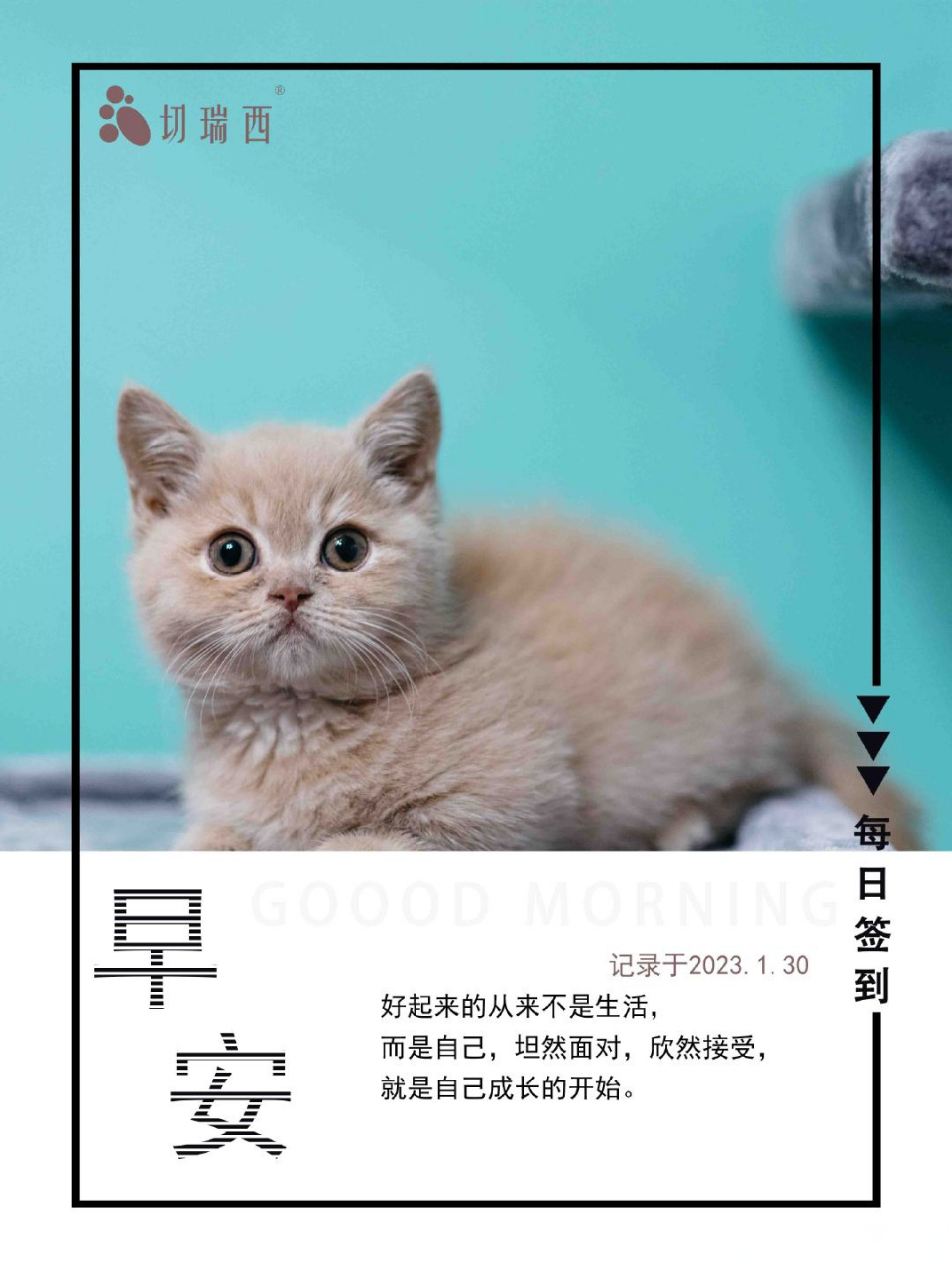 包含汉堡面对困境,努力谋求胜利的词条 包含汉堡面对困境,努力谋求胜利的词条