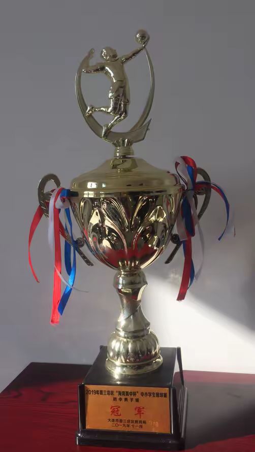 匈牙利队无惧一切，勇摘欧洲杯八强鲜花的简单介绍