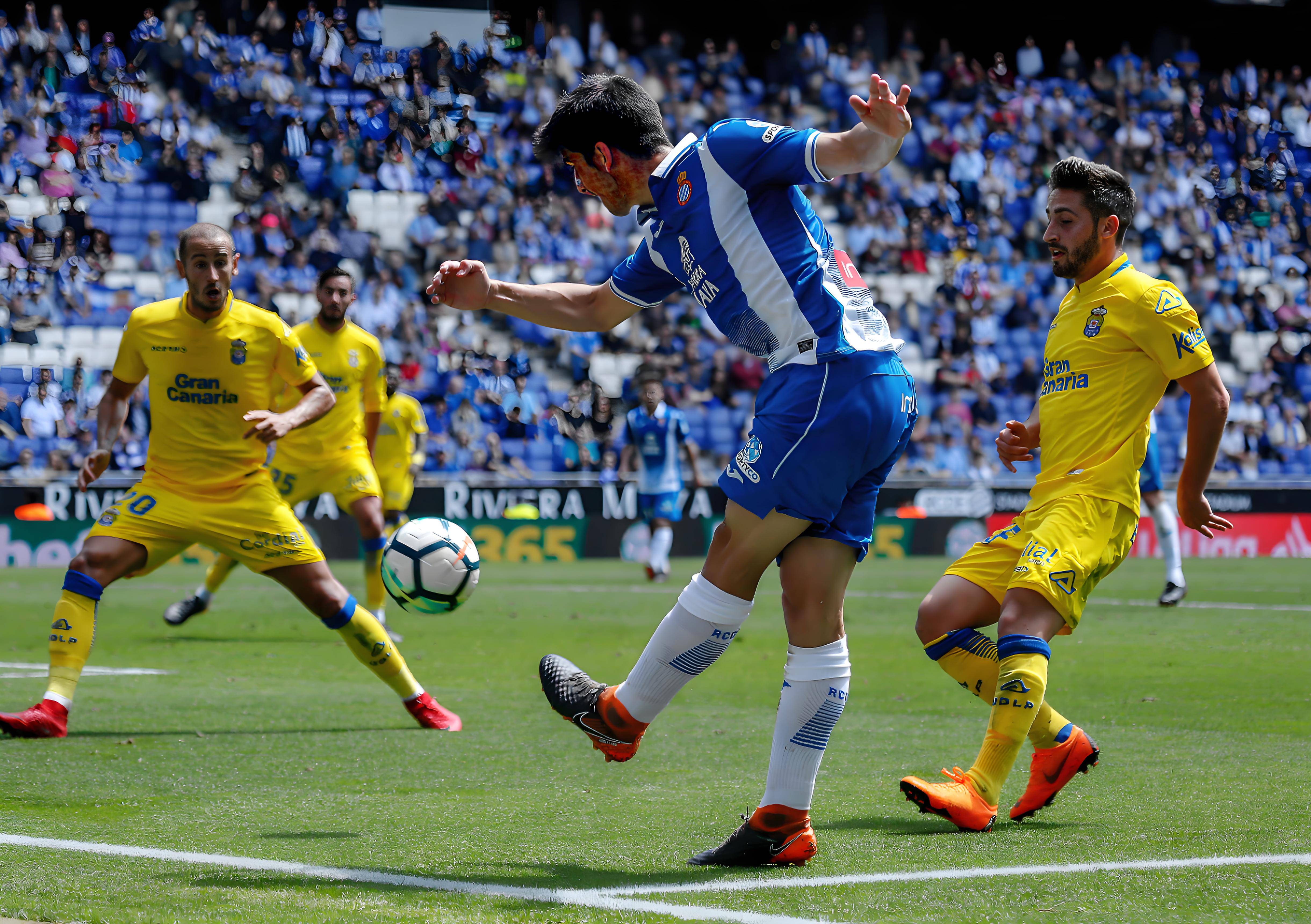 关于拉斯帕尔马斯主场险胜,继续保级之路的信息 关于拉斯帕尔马斯主场险胜,继续保级之路的信息