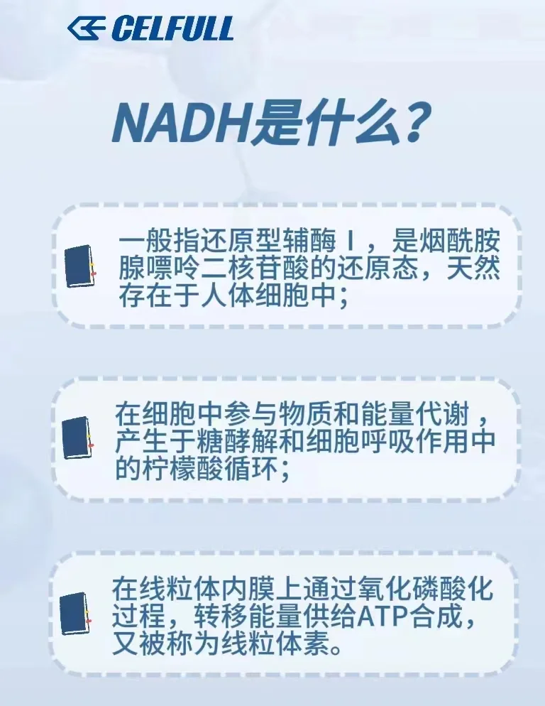 nadh和nadph的区别
