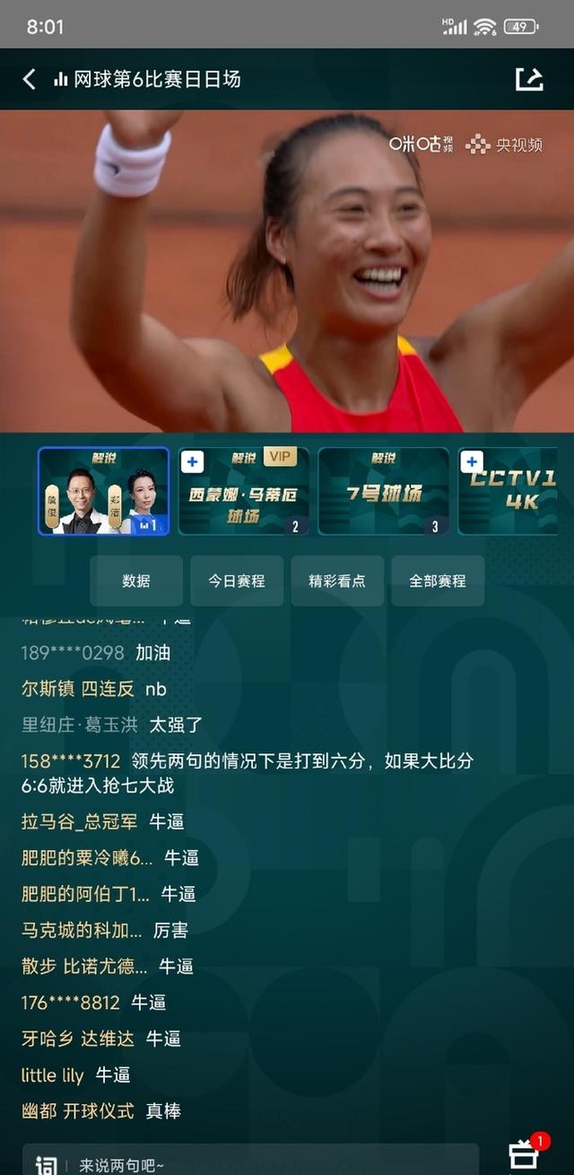 乌克兰队实力浮现，成功晋级备受关注 乌克兰队实力浮现,成功晋级备受关注吗 